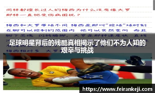 bsports必一体育